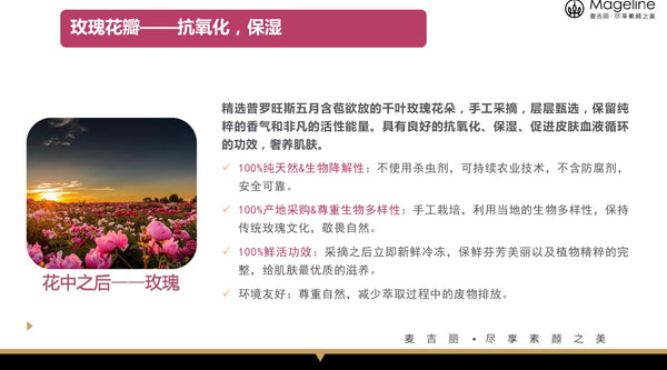 Mageline Black Tea & Rose Facial Mask Black tea extract has high antioxidant that can help protect your cells from DNA damage. It helps defend skin against free radicals and smooth out wrinkles, and restore radiance to dull skin. Natural French rose flower extract improves the circulation by adding oxygen to the skin cells, deeply hydrates the skin and brighten your skin tone