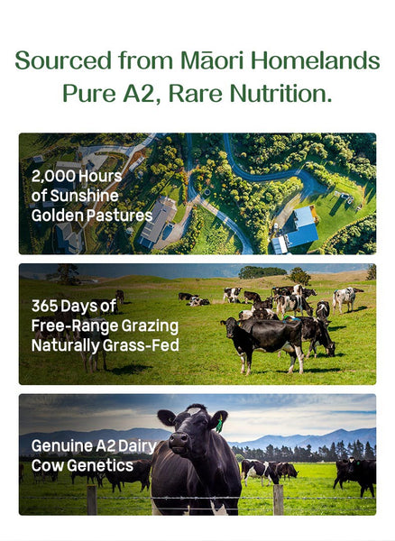 Natureday A2+ Probiotics Milk Powder 2.0 (upgraded)